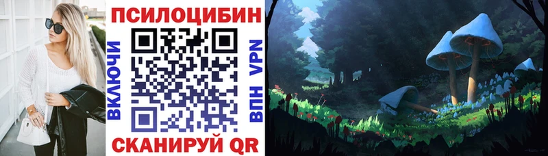 Псилоцибиновые грибы ЛСД  Купить закладки  Котельнич 